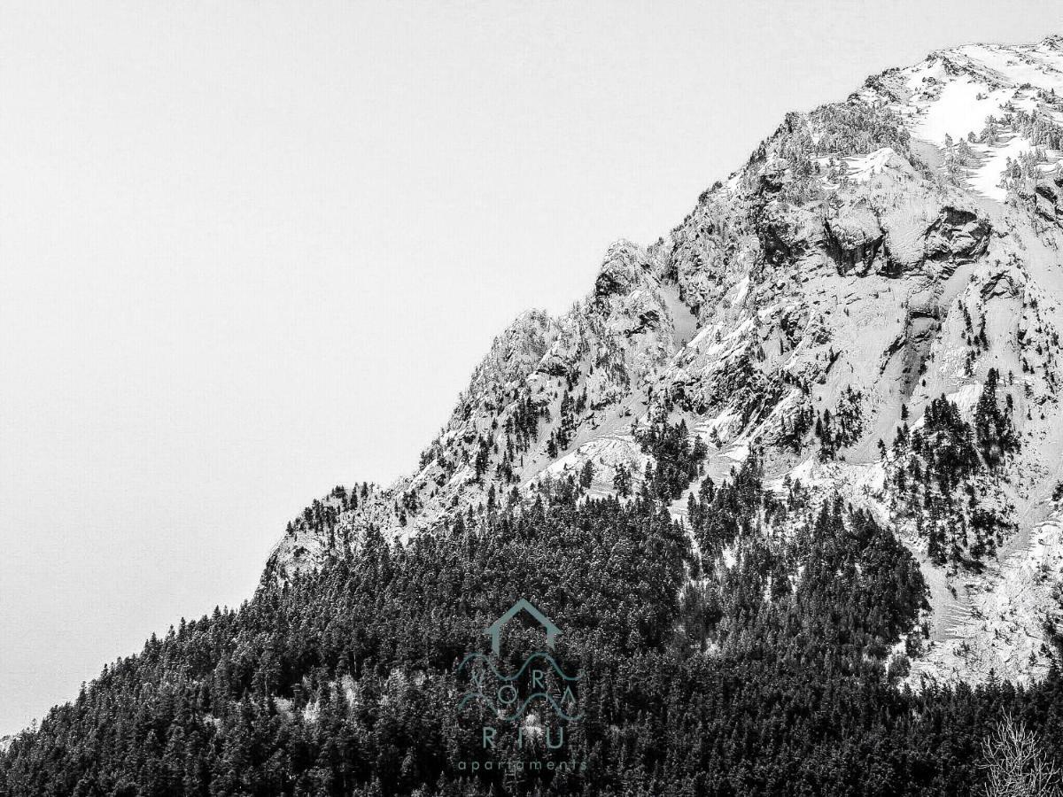 Vora Riu Lägenhet Esterri d'Àneu Exteriör bild